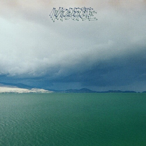 Modest Mouse: Fruit That Ate Itself ( Vinyl )