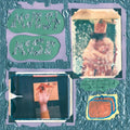 Modest Mouse: Sad Sappy Sucker ( Vinyl )
