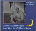 Junior Kimbrough: Sad Days Lonely Nights ( Vinyl )