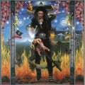 Steve Vai: Passion & Warfare ( Vinyl )