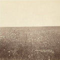 The Milk Carton Kids: Ash & Clay ( Vinyl )