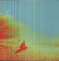 The Flaming Lips: The Terror ( Vinyl )
