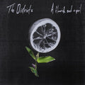 The Districts: Flourish and a Spoil ( Vinyl )