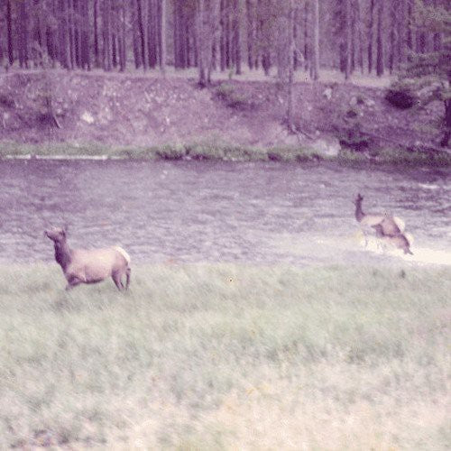 Seahaven: Ghost + Acoustic Sessions ( Vinyl )