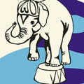 Jeff Mangum: Live at Jittery Joe's ( Vinyl )