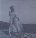 Unknown Mortal Orchestra: Blue Record ( Vinyl )