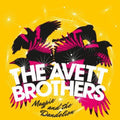 The Avett Brothers: Magpie & the Dandelion ( Vinyl )