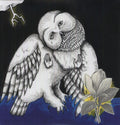 Songs: Ohia: Magnolia Electric Company Co ( Vinyl )