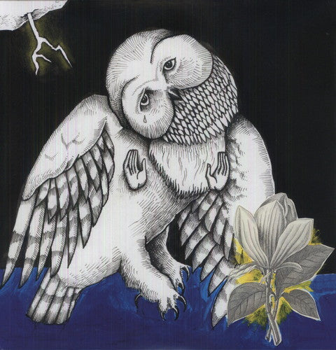 Songs: Ohia: Magnolia Electric Company Co ( Vinyl )