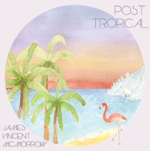 James Vincent McMorrow: Post Tropical ( Vinyl )