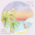 James Vincent McMorrow: Post Tropical ( Vinyl )