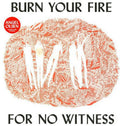 Angel Olsen: Burn Your Fire for No Witness ( Vinyl )