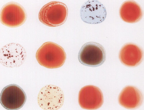 Peter Gabriel: Scratch My Back & I'll Scratch Yours ( Vinyl )