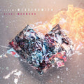 Jeremy Messersmith: Heart Murmurs ( Vinyl )