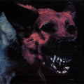 Protomartyr: Under Color of Official Right ( Vinyl )