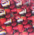 Thee Oh Sees: Floating Coffin ( Vinyl )