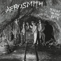 Aerosmith: Night in the Ruts ( Vinyl )