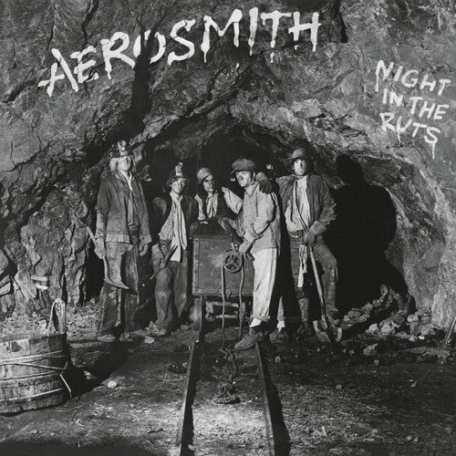 Aerosmith: Night in the Ruts ( Vinyl )