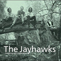 The Jayhawks: Tomorrow the Green Grass ( Vinyl )