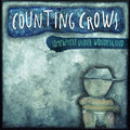 Counting Crows: Somewhere Under Wonderland ( Vinyl )