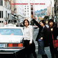 Sleater-Kinney: Hot Rock ( Vinyl )