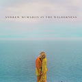 McMahon in the Wilde: Andrew McMahon in the Wilderness ( Vinyl )