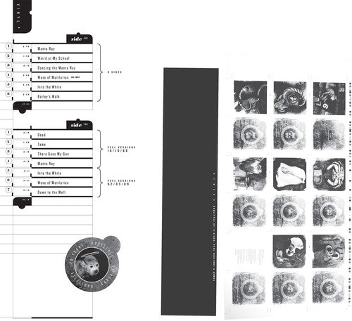 The Pixies: Doolittle 25: B-Sides Peel Sessions & Demos ( Vinyl )