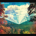 Tame Impala: Innerspeaker ( Vinyl )