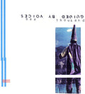 Guided by Voices: Bee Thousand ( Vinyl )