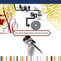 Built to Spill: Ancient Melodies of the Future ( Vinyl )