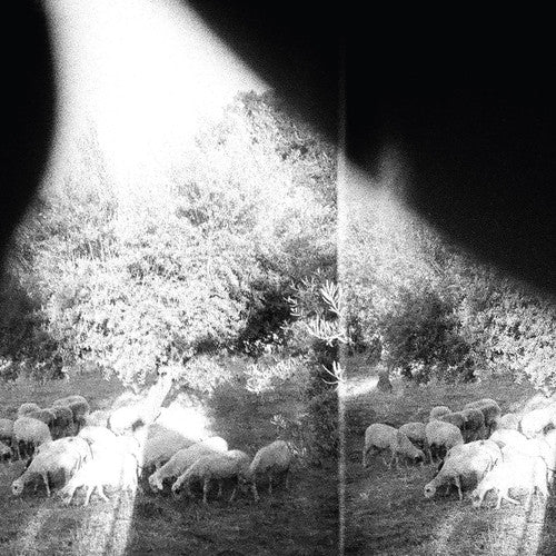 Godspeed You! Black Emperor: Asunder Sweet & Other Distress ( Vinyl )