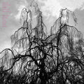 Colin Stetson: Never Were the Way She Was ( Vinyl )