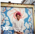 Toro y Moi: What for ( Vinyl )