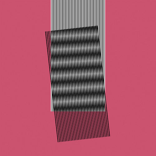 Hot Chip: Why Make Sense ( Vinyl )