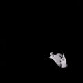Bob Moses: Days Gone By ( Vinyl )