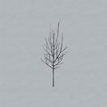 Low: Ones and Sixes ( Vinyl )