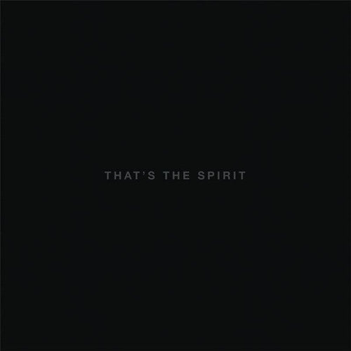 Bring Me the Horizon: That's The Spirit ( Vinyl )