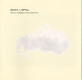 Built to Spill: There's Nothing Wrong With Love ( Vinyl )