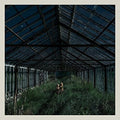 Foxing: Dealer ( Vinyl )