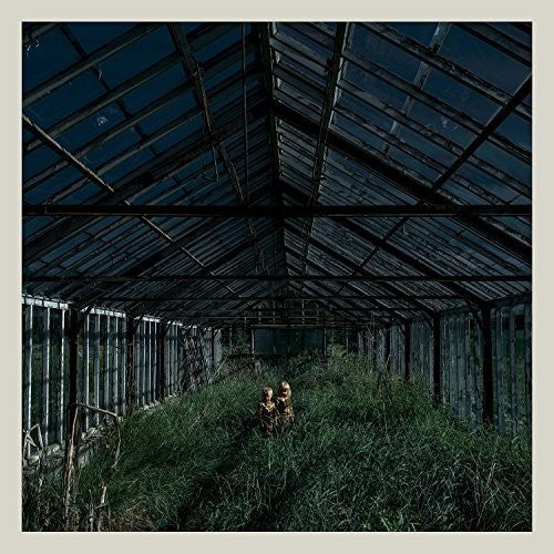Foxing: Dealer ( Vinyl )