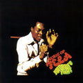 Fela Kuti: Roforofo Fight ( Vinyl )