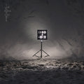 Tinariwen: Live in Paris ( Vinyl )