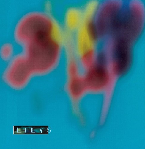 Lilys: Eccsame the Photon Band ( Vinyl )