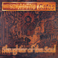 At the Gates: Slaughter Of The Soul ( Vinyl )
