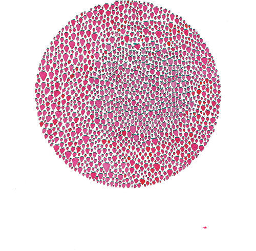 Julia Brown: An Abundance of Strawberries ( Vinyl )