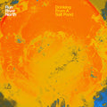 Run River North: Drinking from a Salt Pond ( Vinyl )