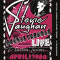 Stevie Ray Vaughan: In The Beginning ( Vinyl )
