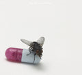 Red Hot Chili Peppers: I'm with You ( Vinyl )