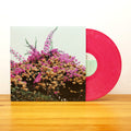 Jay Som: Turn Into ( Vinyl )