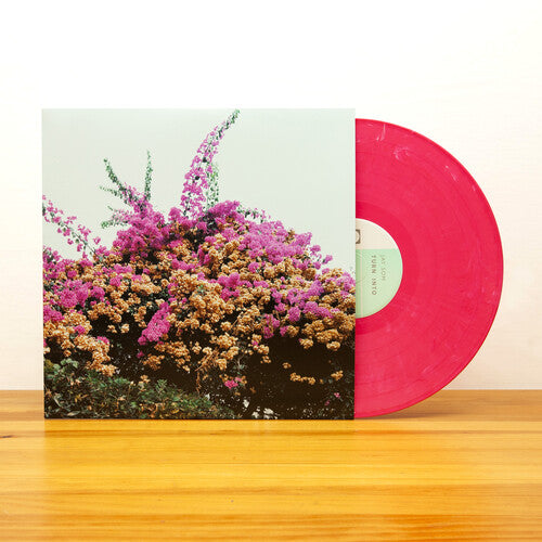 Jay Som: Turn Into ( Vinyl )